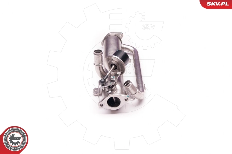 EGR Valve